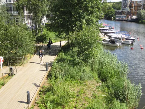 Lessons From Sweden On Sustainability thumbnail