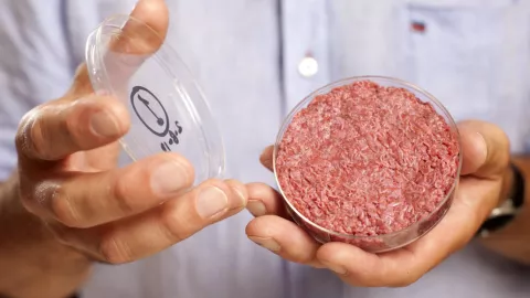 FDA Approves Second Lab-Grown Meat thumbnail